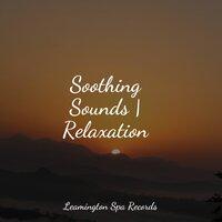 Soothing Sounds | Relaxation