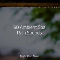 80 Ambient Spa Rain Sounds