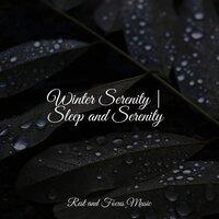Winter Serenity | Sleep and Serenity