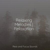 Relaxing Melodies | Relaxation