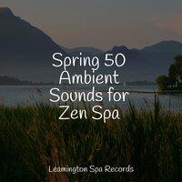 Spring 50 Ambient Sounds for Zen Spa