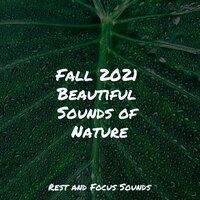 Fall 2021 Beautiful Sounds of Nature