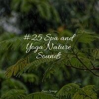 #25 Spa and Yoga Nature Sounds