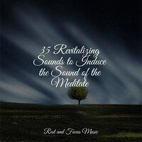 35 Revitalizing Sounds to Induce the Sound of the Meditate