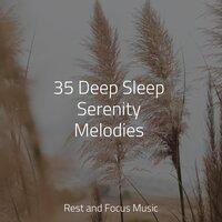35 Deep Sleep Serenity Melodies