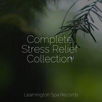 Complete Stress Relief Collection