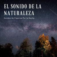El Sonido De La Naturaleza: Sonidos De Cigarras Por La Noche Vol. 1
