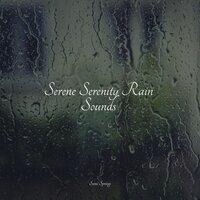 Serene Serenity Rain Sounds
