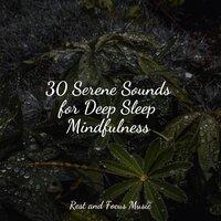 30 Serene Sounds for Deep Sleep Mindfulness