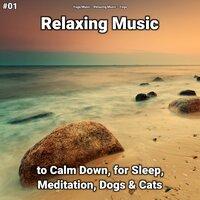 #01 Relaxing Music to Calm Down, for Sleep, Meditation, Dogs & Cats