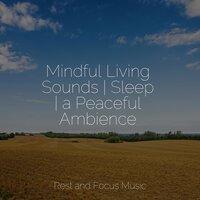 Mindful Living Sounds | Sleep | a Peaceful Ambience
