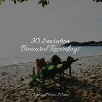 30 Sensation Binaural Recordings