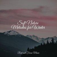 Soft Nature Melodies for Winter