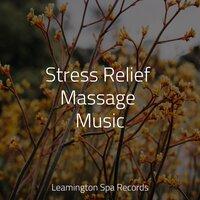 Stress Relief Massage Music