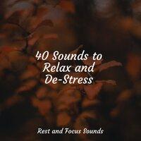 40 Sounds to Relax and De-Stress