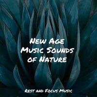 New Age Music Sounds of Nature