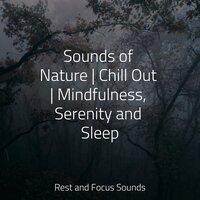 Sounds of Nature | Chill Out | Mindfulness, Serenity and Sleep