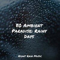 80 Ambient Paradise: Rainy Days