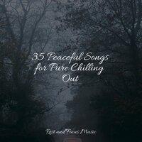35 Peaceful Songs for Pure Chilling Out