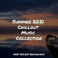 Summer 2021 Chillout Music Collection