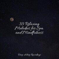 35 Relaxing Melodies for Spa and Mindfulness