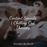 Content Sounds | Chilling Out Therapy
