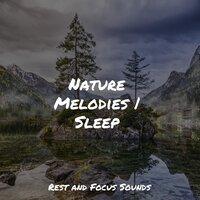 Nature Melodies | Sleep