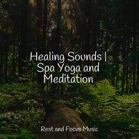 Healing Sounds | Spa Yoga and Meditation