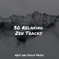 30 Relaxing Zen Tracks