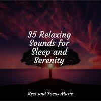 35 Relaxing Sounds for Sleep and Serenity