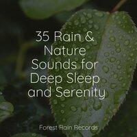 35 Rain & Nature Sounds for Deep Sleep and Serenity