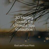 30 Healing Sounds for Ultimate Spa Relaxation