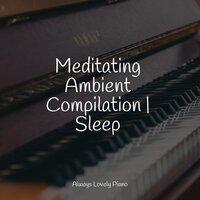 Meditating Ambient Compilation | Sleep