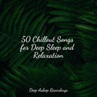 50 Chillout Songs for Deep Sleep and Relaxation