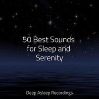 50 Best Sounds for Sleep and Serenity