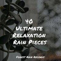 40 Ultimate Relaxation Rain Pieces