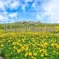 25 аур планеты Земля
