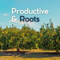 Productive & Roots