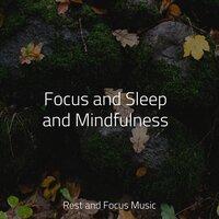 Focus and Sleep and Mindfulness