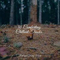 30 Comforting Chillout Tracks