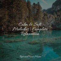 Calm & Soft Melodies | Complete Relaxation