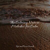 The Calming Nature Melodies for Calm