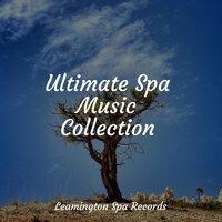 Ultimate Spa Music Collection