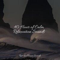40 Hour of Calm Relaxation Sounds