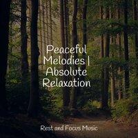Peaceful Melodies | Absolute Relaxation