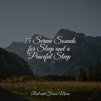 35 Serene Sounds for Sleep and a Peaceful Sleep