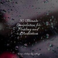 30 Ultimate Compilation for Healing and Meditation