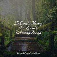 35 Gentle Sleepy Mix Spirits Relaxing Songs