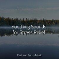 Soothing Sounds for Stress Relief