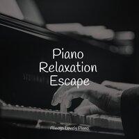 Piano Relaxation Escape